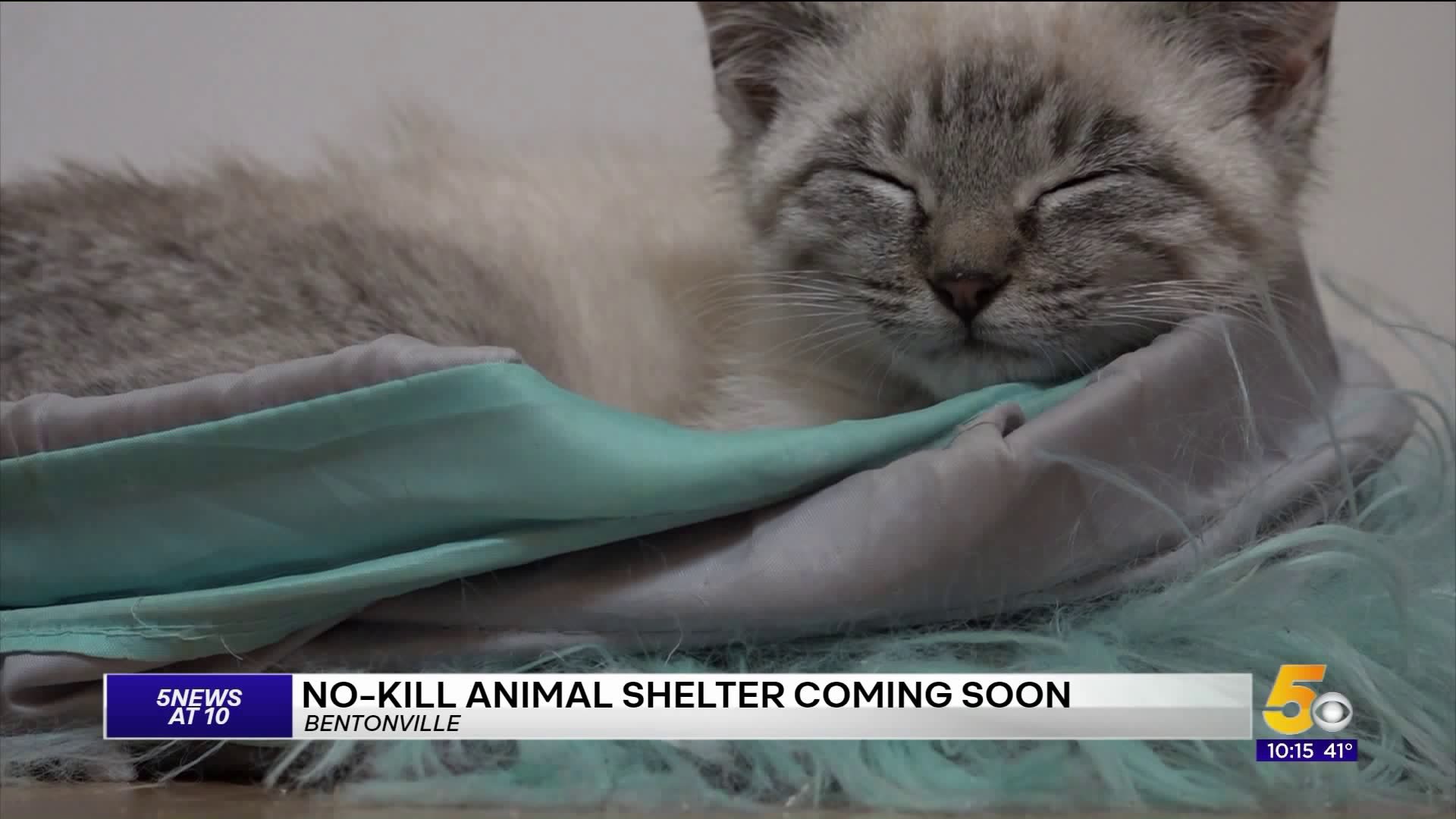 New Details About Massive Animal Shelter Coming To Bentonville
