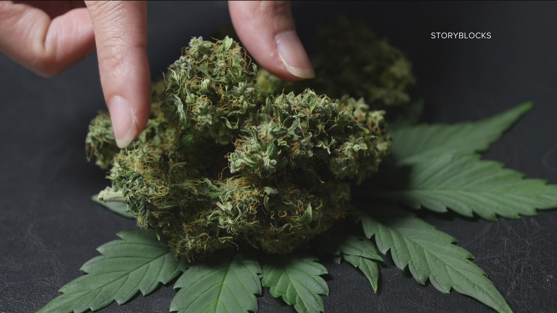 Medical marijuana was passed in Arkansas in 2016. Now new revisions are expected on the November ballot. Watch the video to learn more.
