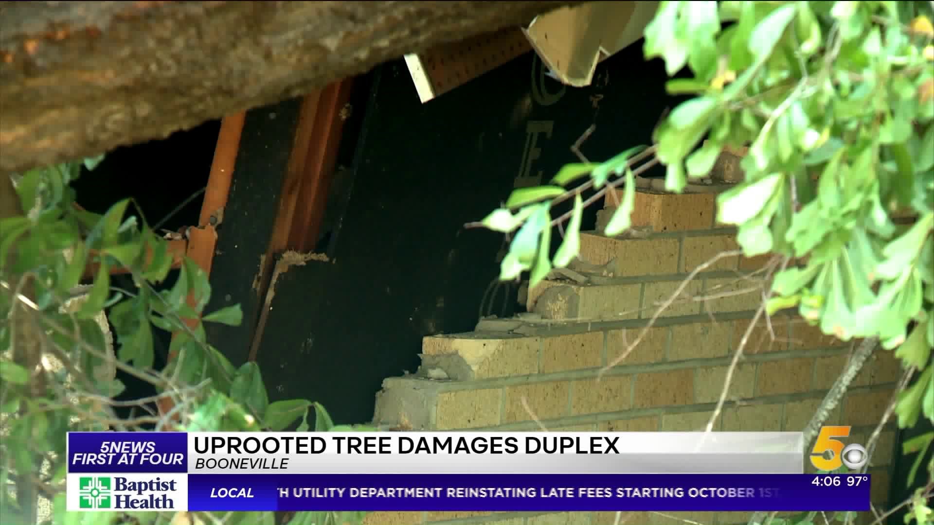 Uprooted Tree Damages Duplex