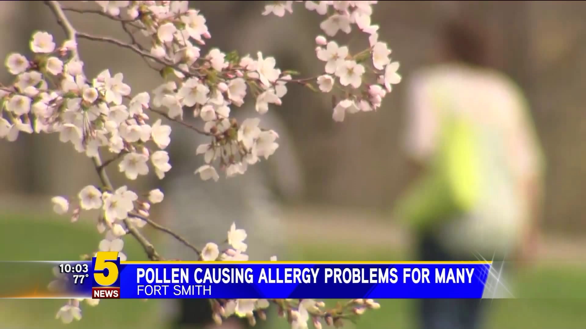 Pollen Causing Allergy Issues For Many