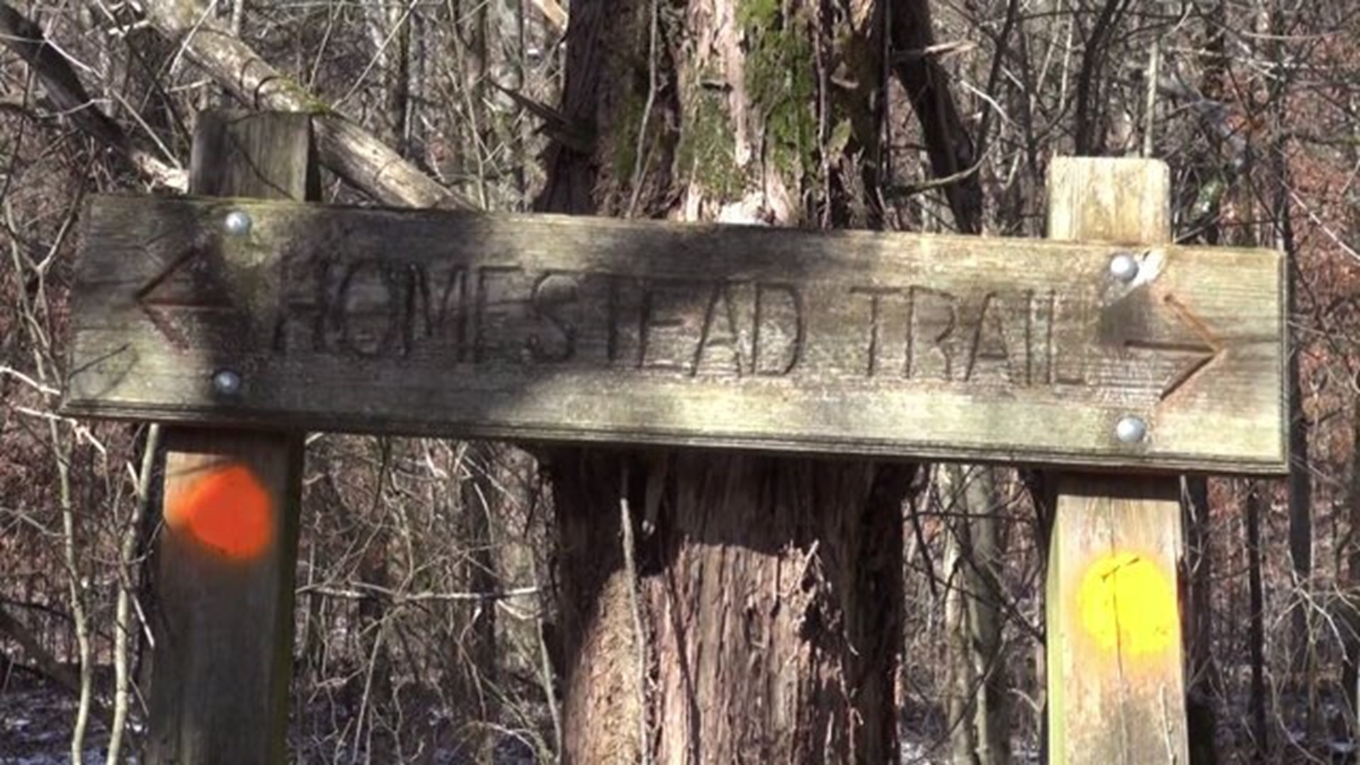 Crack in the Rock Trail