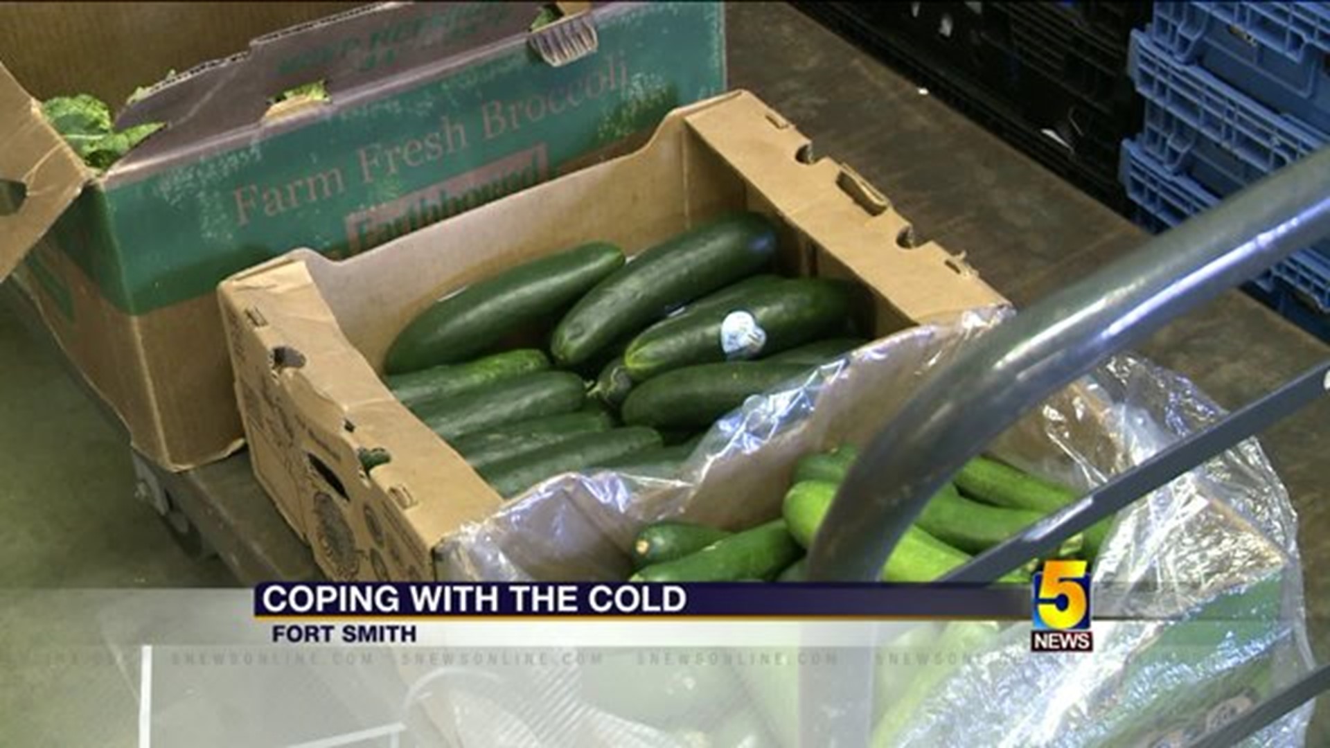 Food Bank Coping With Cold