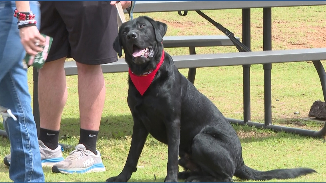 Howlin' on the Hogs: Arkansas Baseball Hosts 11th Annual Bark at the Park Night