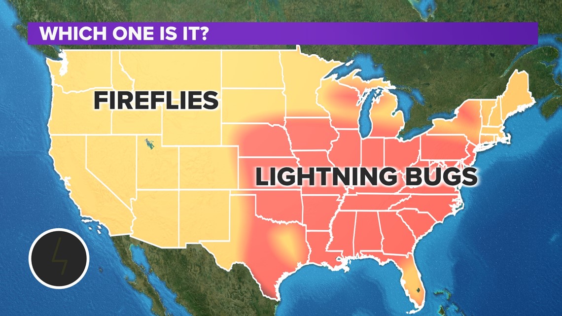 When is peak lightning bug and firefly season in the .? 