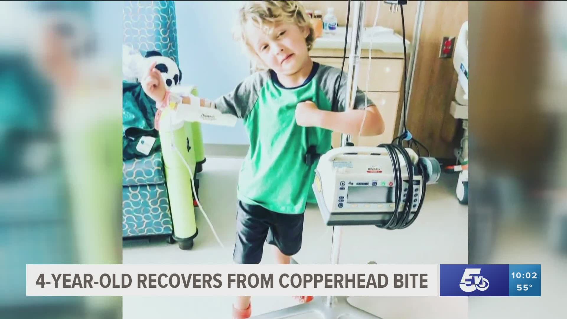 4 year old recovers from Copperhead bite