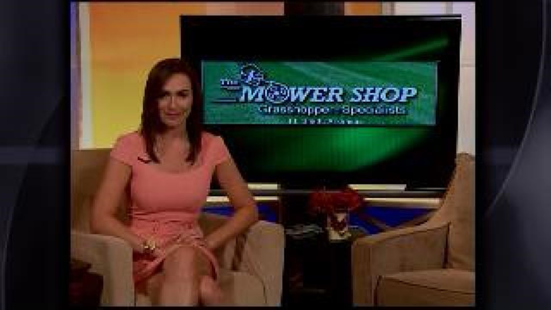 The Mower Shop