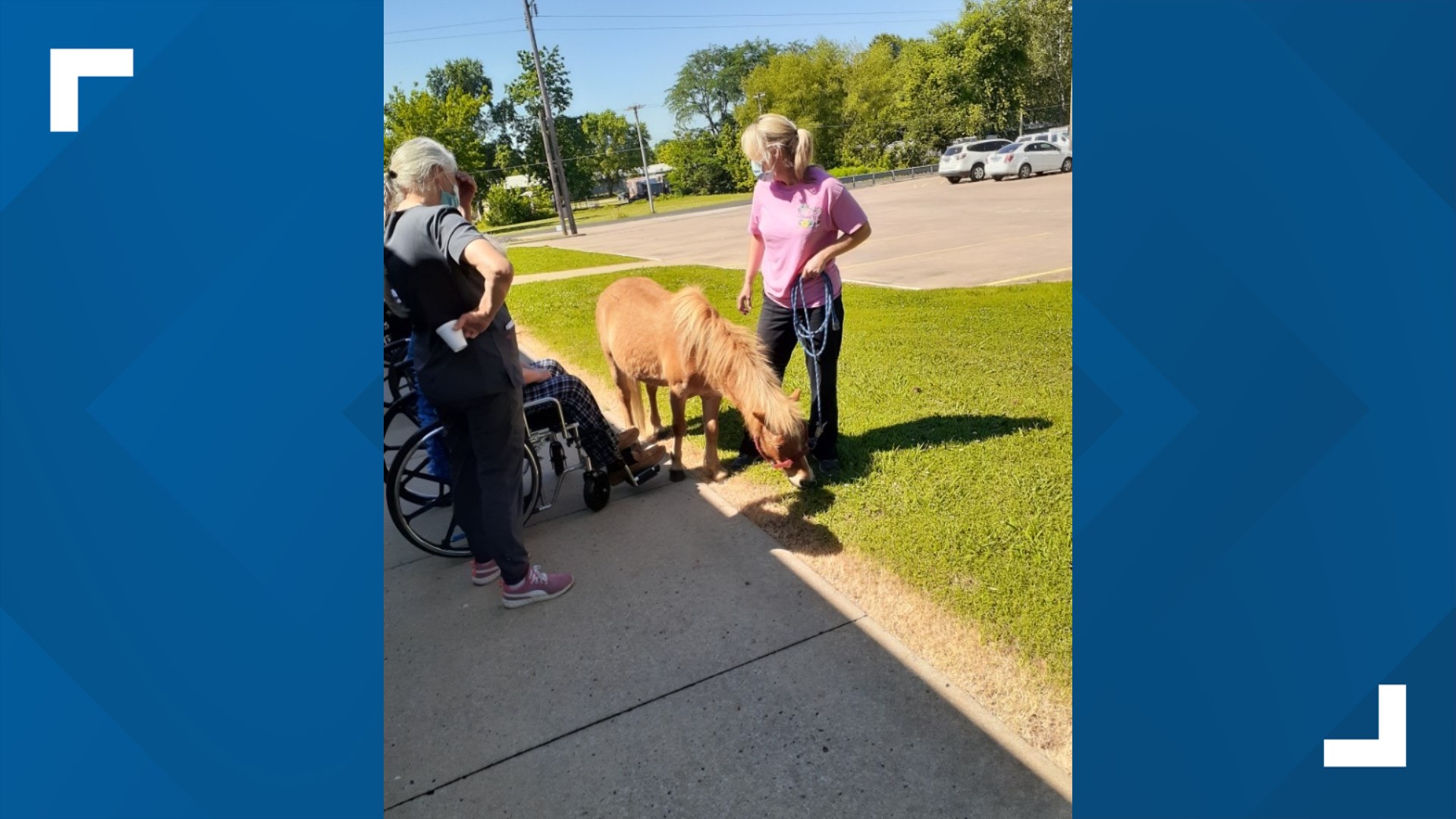 Sallisaw nursing home residents surprised with mini horse parade