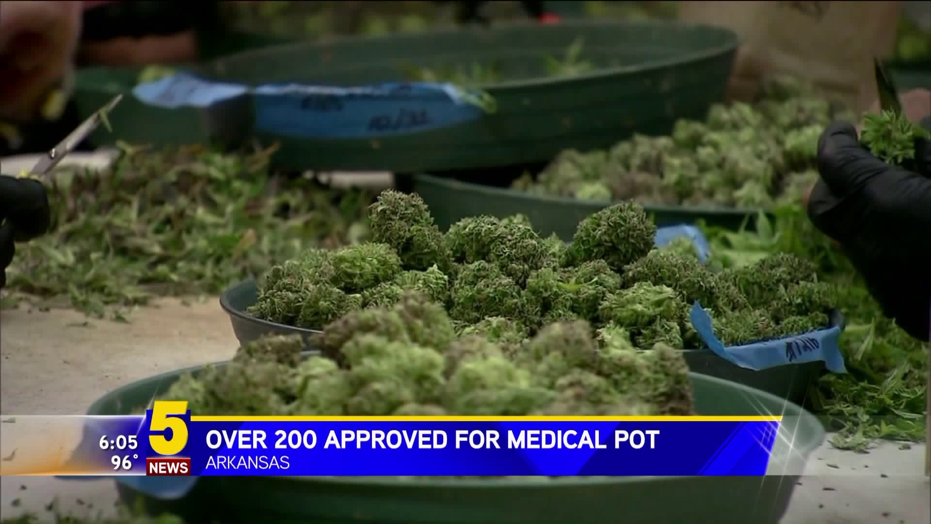 More Than 200 Approved For Medical Marijuana Cards