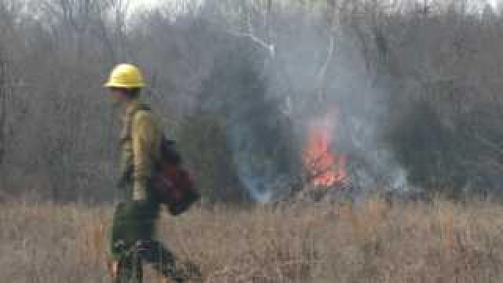Controlled Burn at Lake Fayetteville