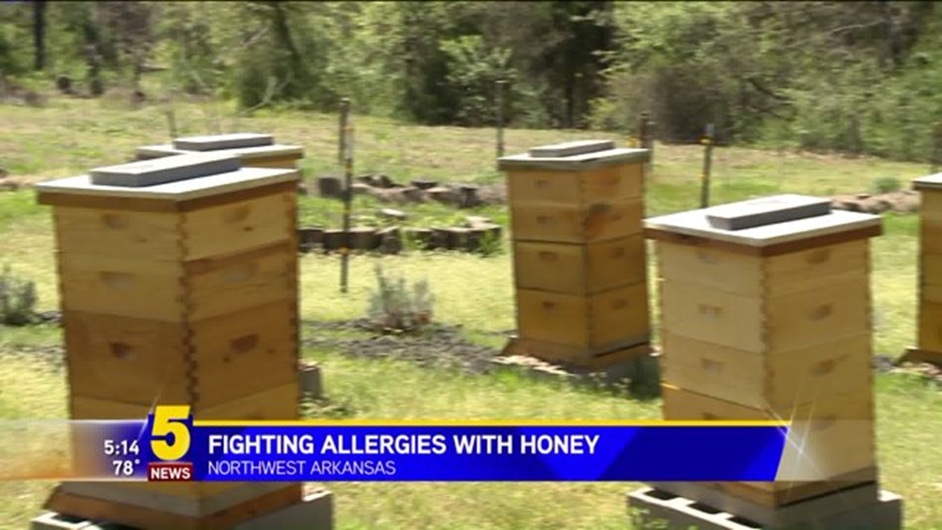 Fighting Allergies With Honey