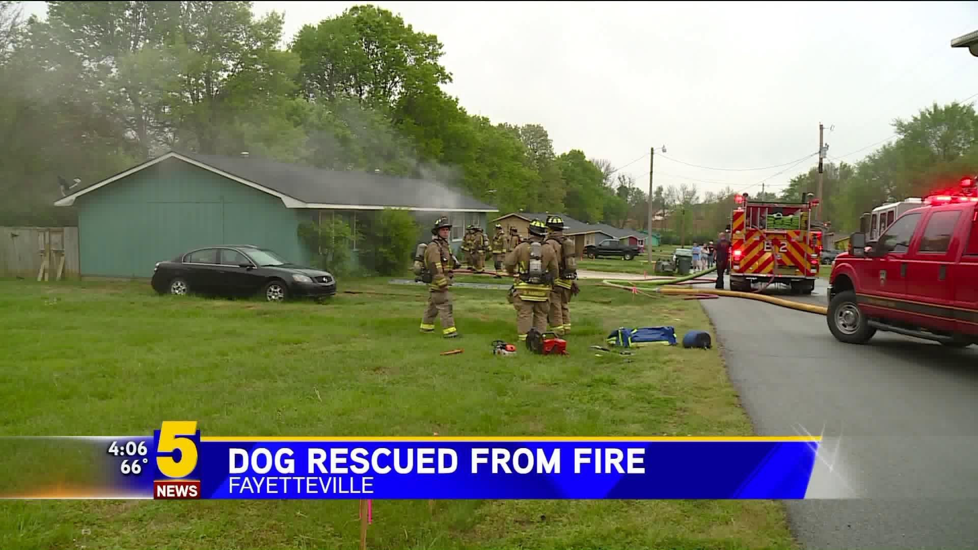 Dog Rescued from Fire in Fayetteville