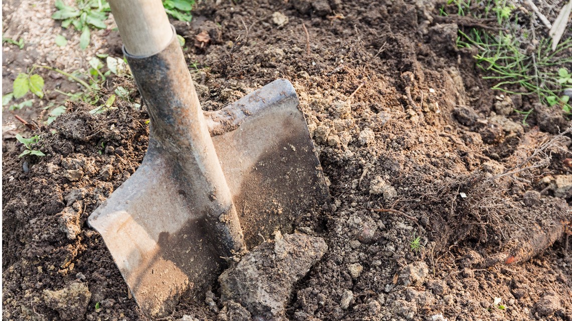 Work begins in Greenwood $3.2 million residential subdivision - Vimarsana News