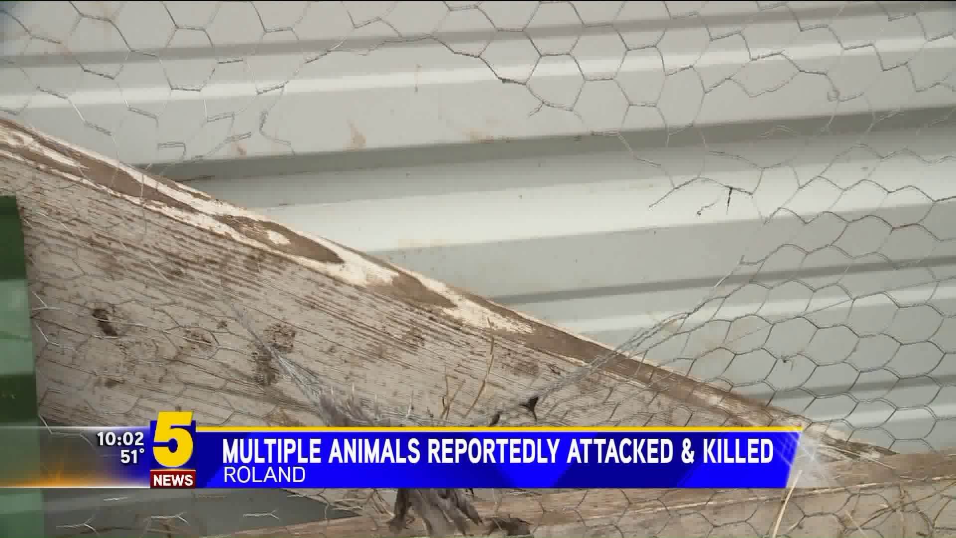 Multiple Farm Animals In Roland Reportedly Attaacked & Killed