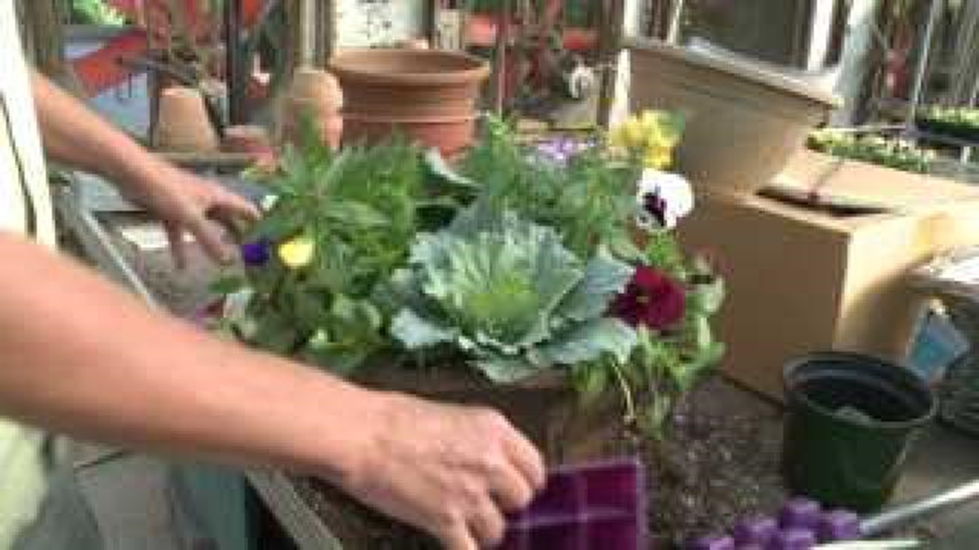 Sharum's Garden Center: Fall Gardening