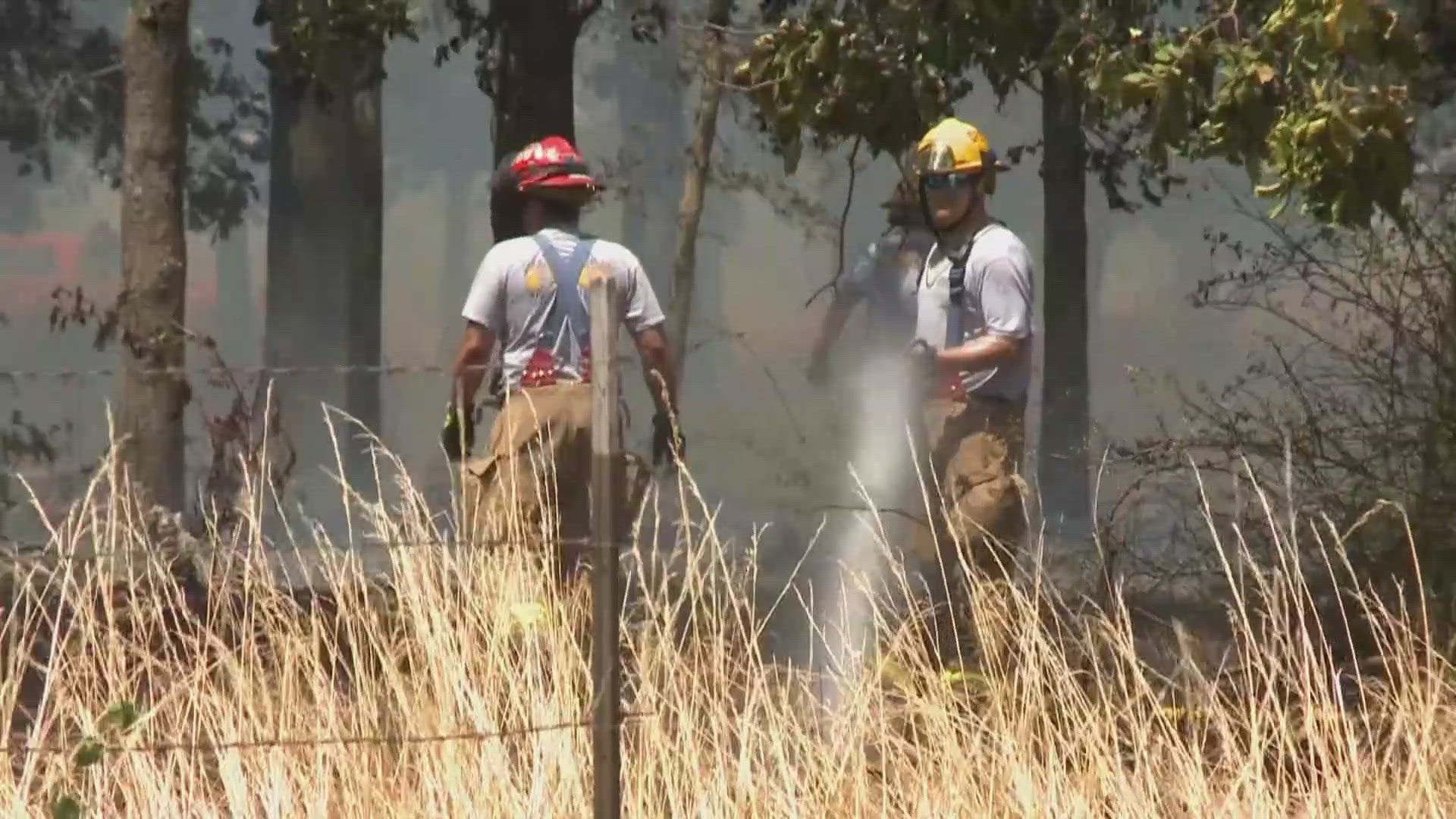 Latest News | Dry conditions prompt Arkansas counties to issue burn ...