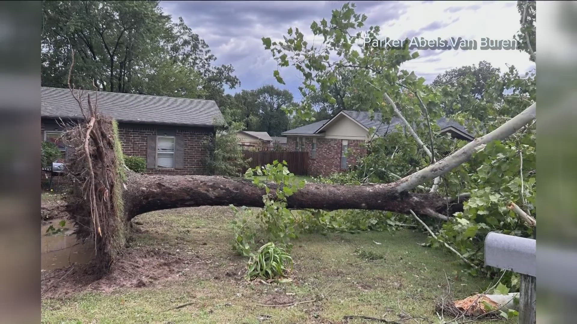 The storms, which began Friday night and went into Saturday morning, left a wake of damage including fallen trees and power lines.