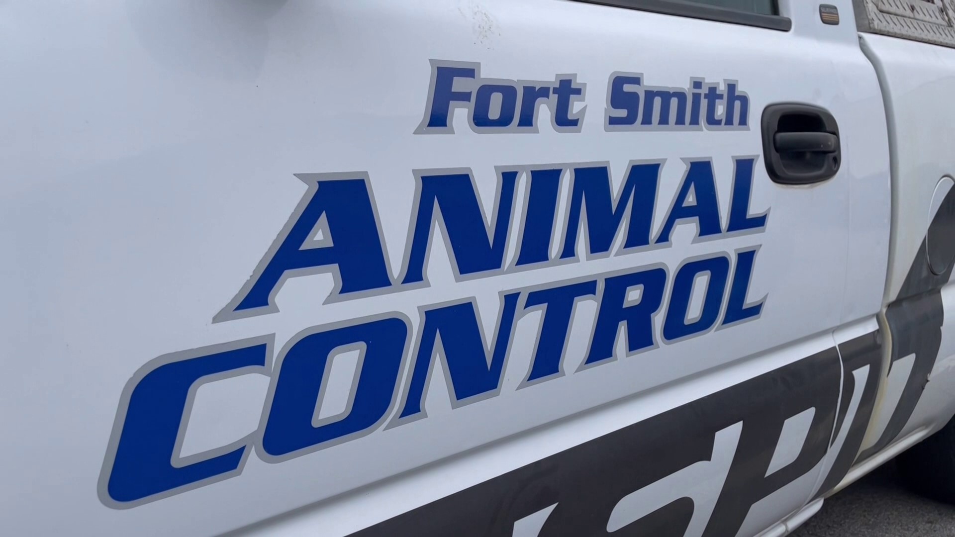 Fort Smith residents urging animal control to 'step up' 