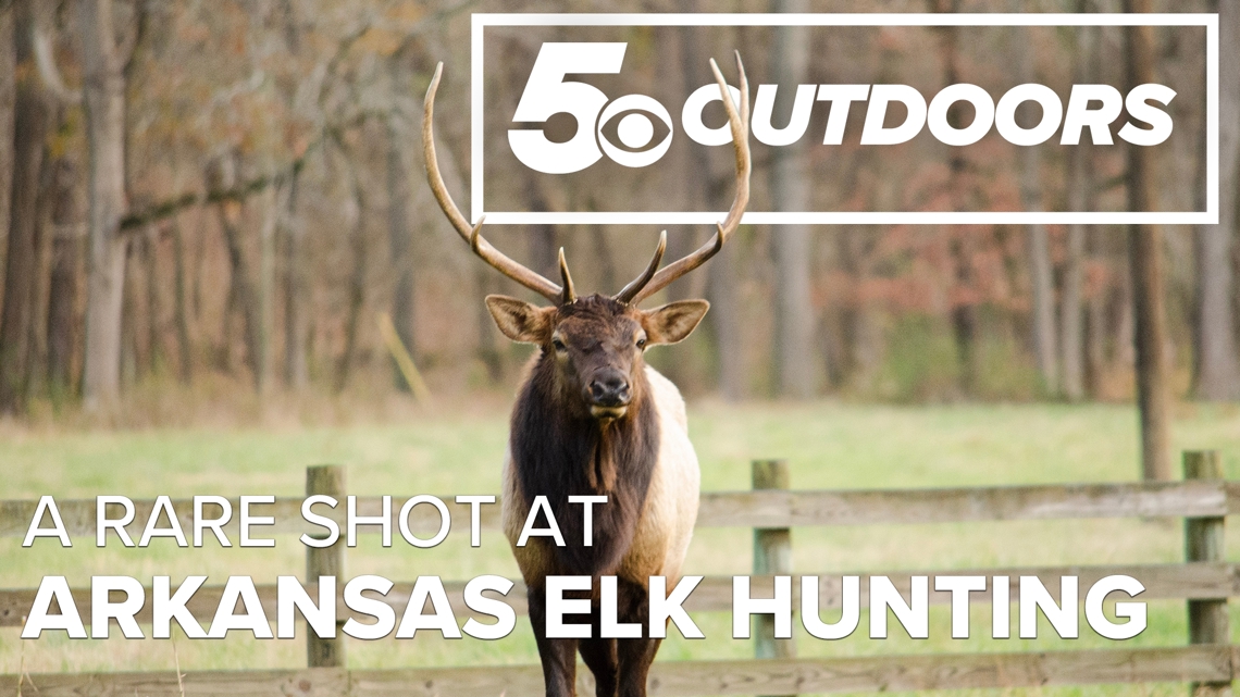A Rare Shot at Arkansas Elk Hunting | 5OUTDOORS