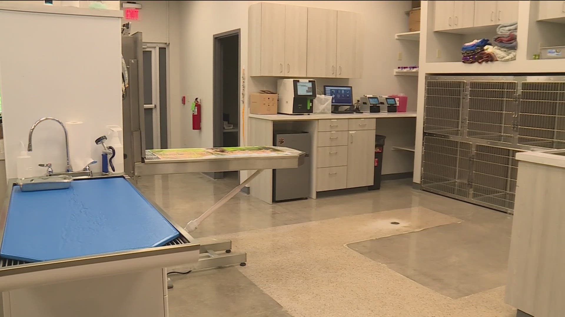 LocalVet Urgent Care opened in Fayetteville last month after seeing a need in the community.