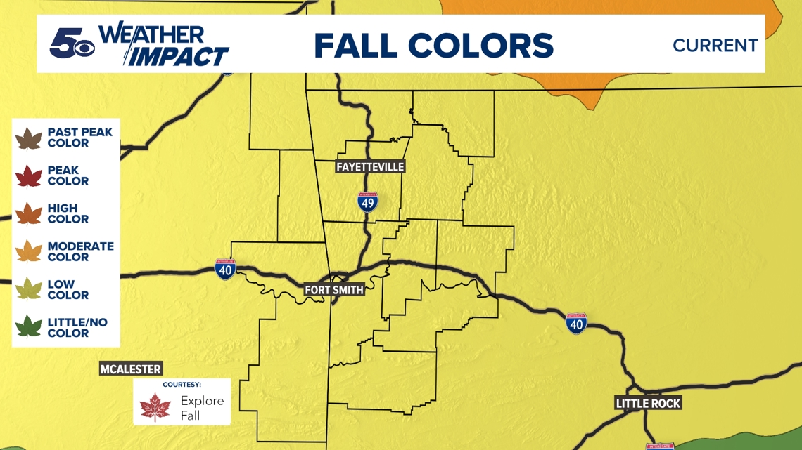Fall foliage 2025