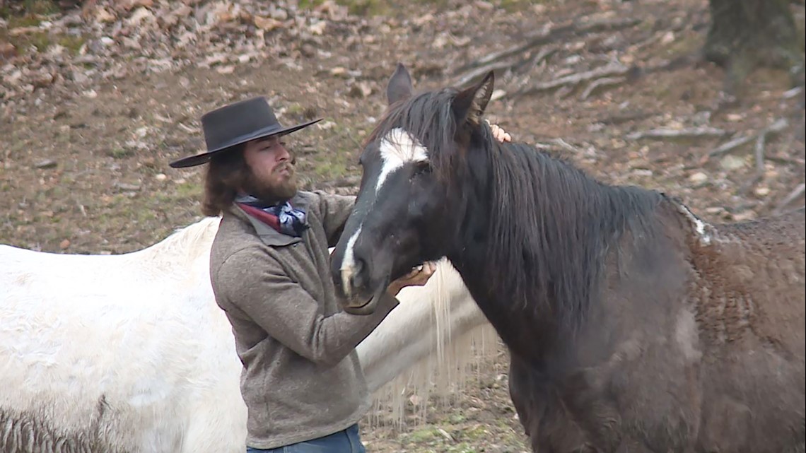 Utah rider calls horseback journey 'The Year of the Mustang ...