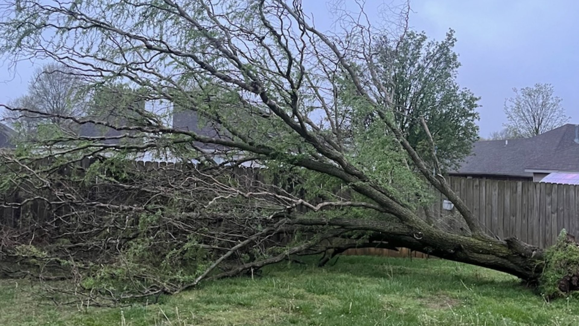 Damage left behind by overnight storms in Arkansas | 5newsonline.com