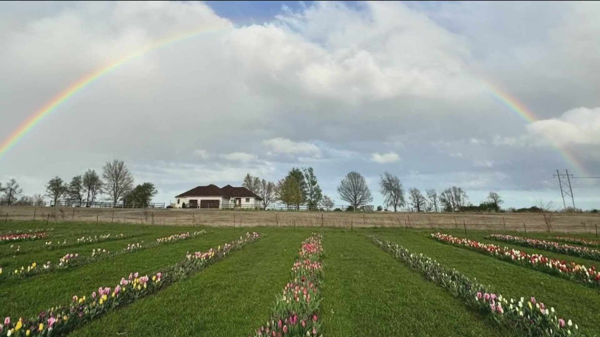 Operated by the nonprofit PerspectAbility, the farm is dedicated to creating an inclusive space where neurodiverse adults can develop essential life and work skills.