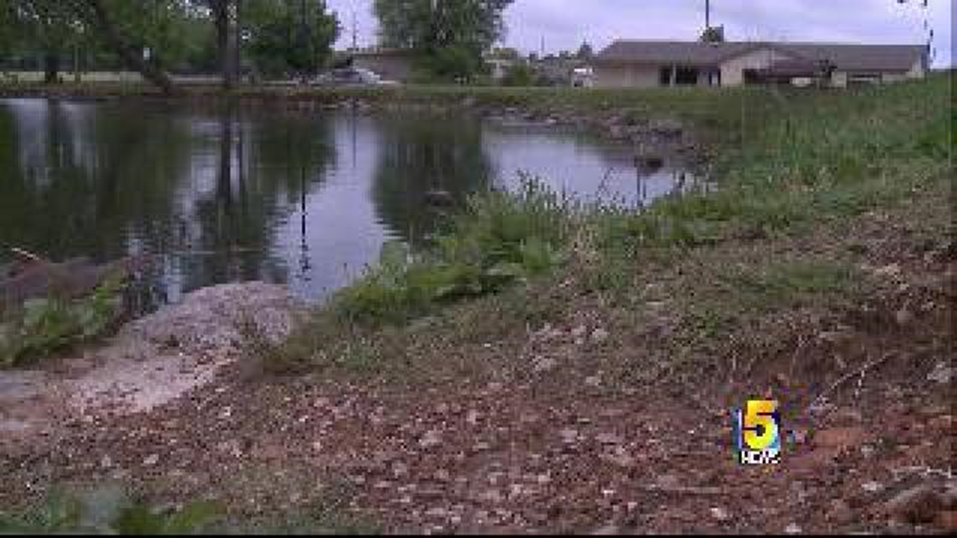Springdale Man Dies After Pond Fall