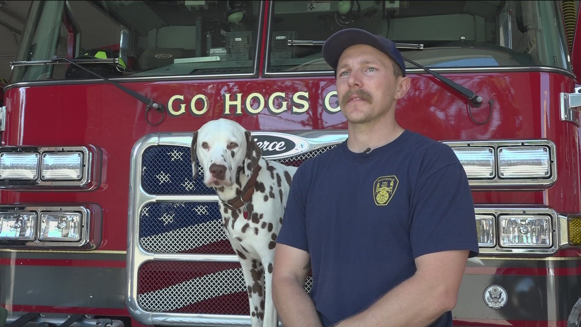 Dalmatian's role in a fire station has shifted over the years. Now, they are more affiliated with emotional support for firefighters and children.