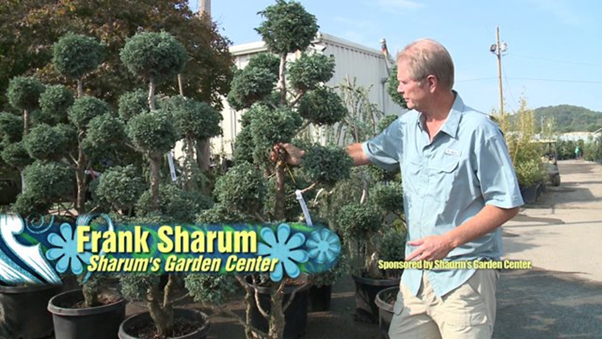 Shrubs and Trees for Fall Planting