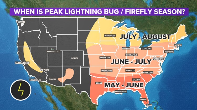 When is peak and firefly season in the U.S.? | 5newsonline.com