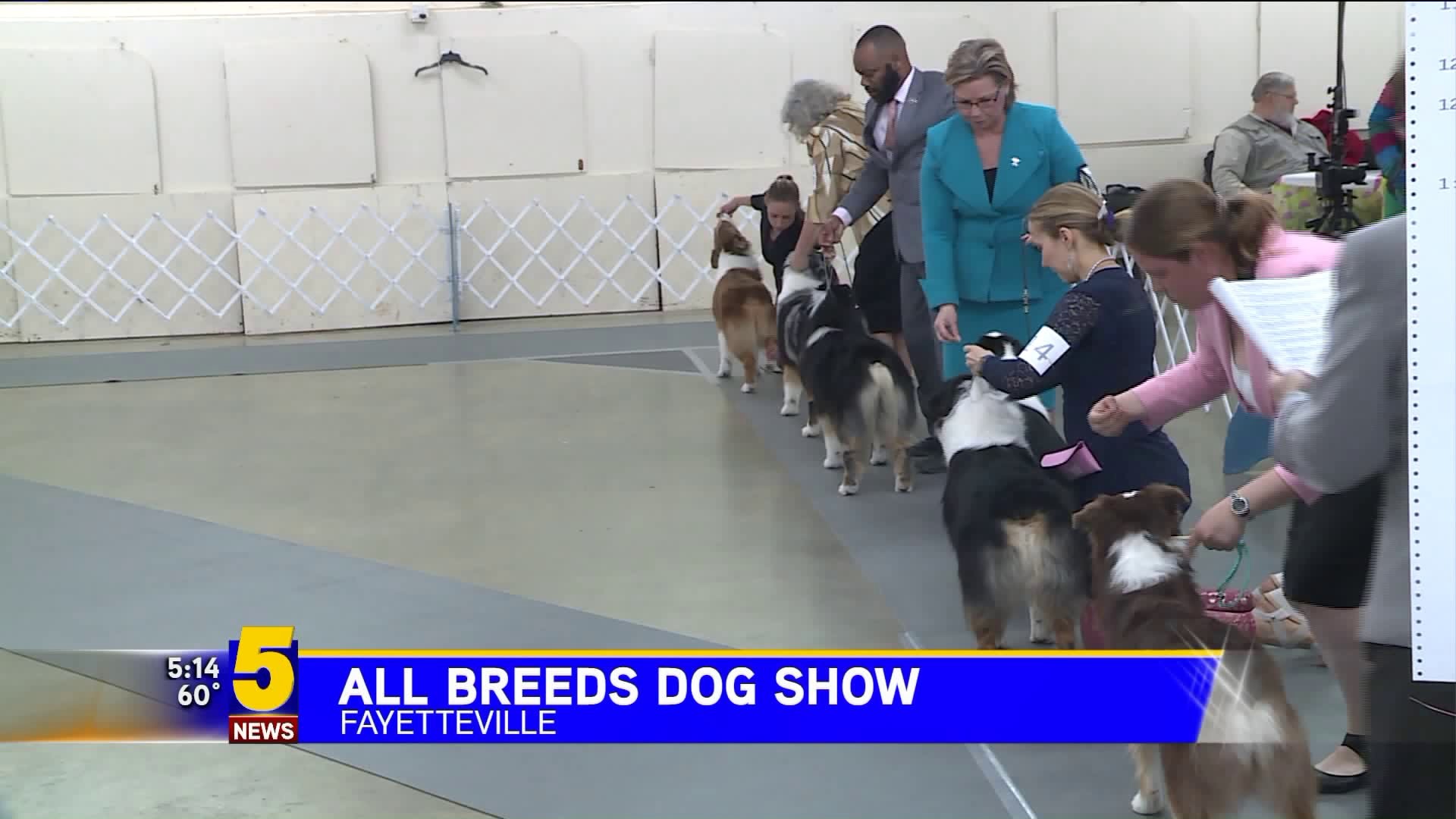 Washington County All Breeds Dog Show