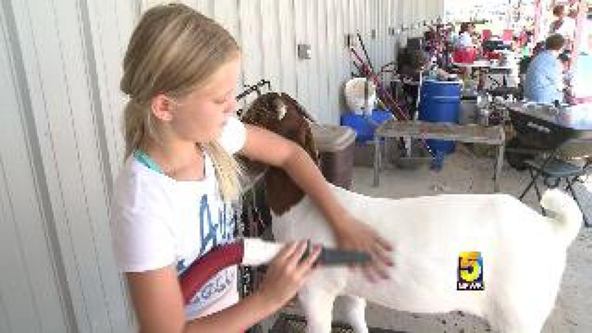 Kids Show Off Animals At Fair
