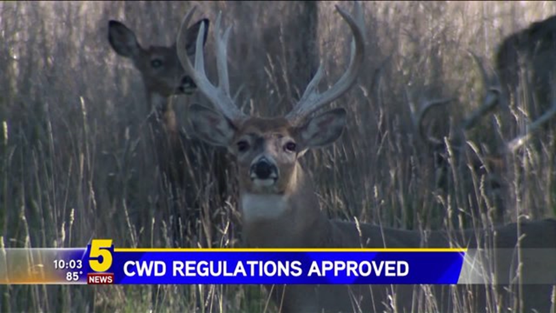 CWD REGULATIONS APPROVED BY AGFC
