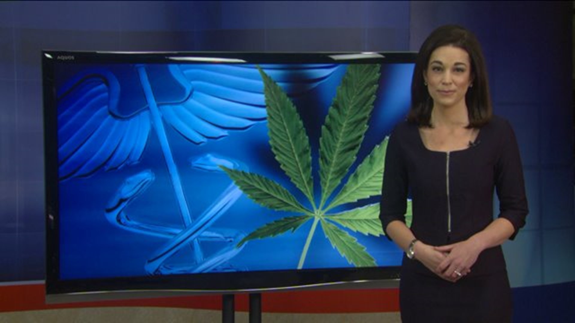 Sponsor Of Issue 6 Breaks Down What Is Next For Medical Marijuana In Arkansas