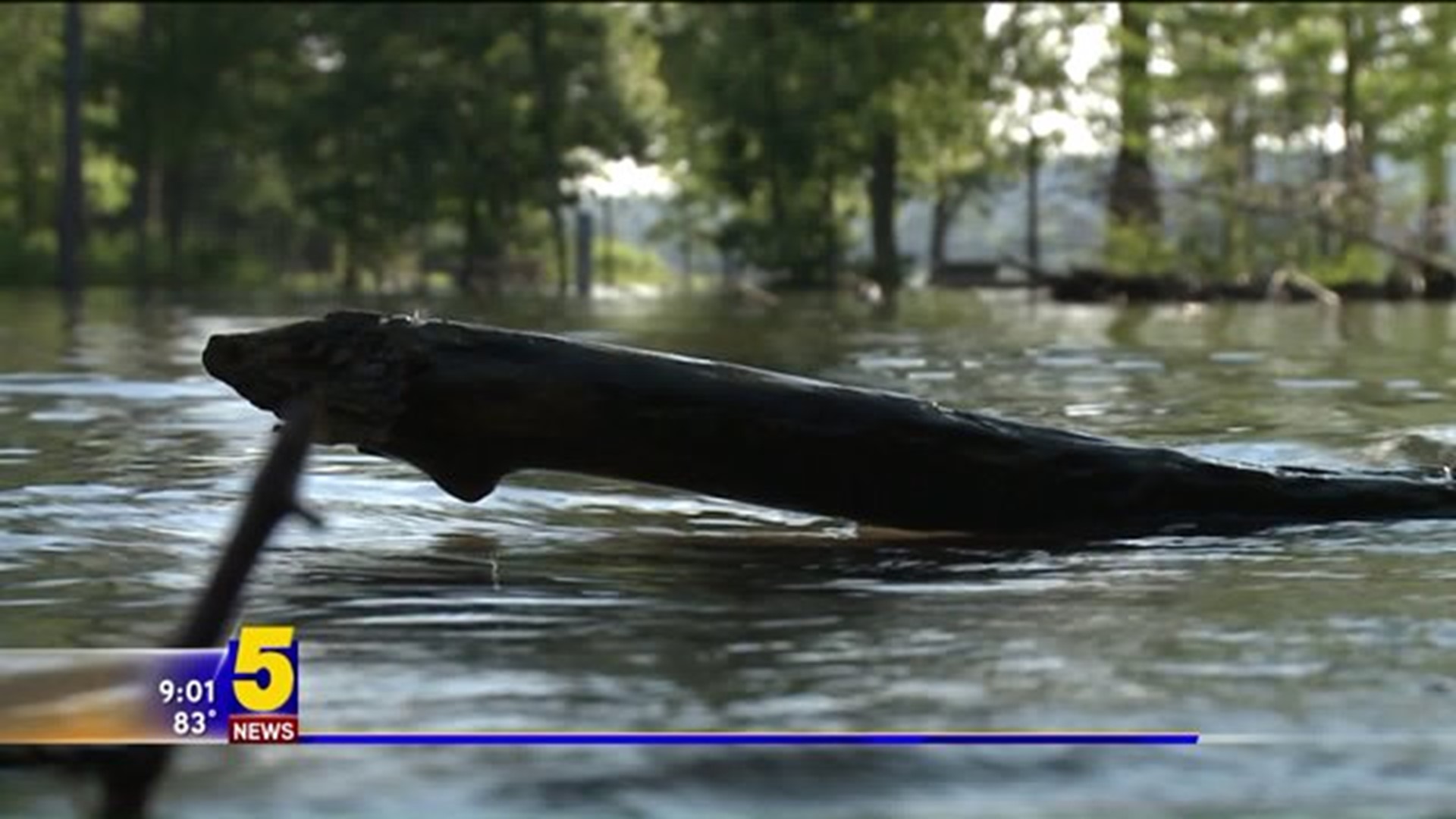 Beaver Lake Camp Flooding