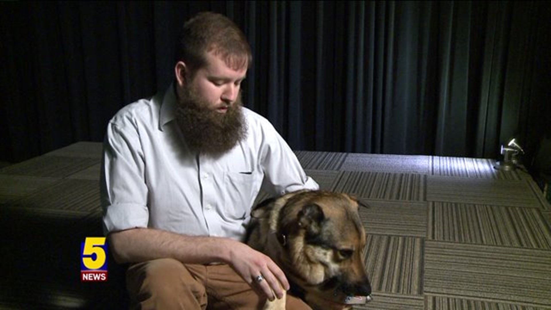 Local Group Pairs Veterans With PTSD With Service Dogs