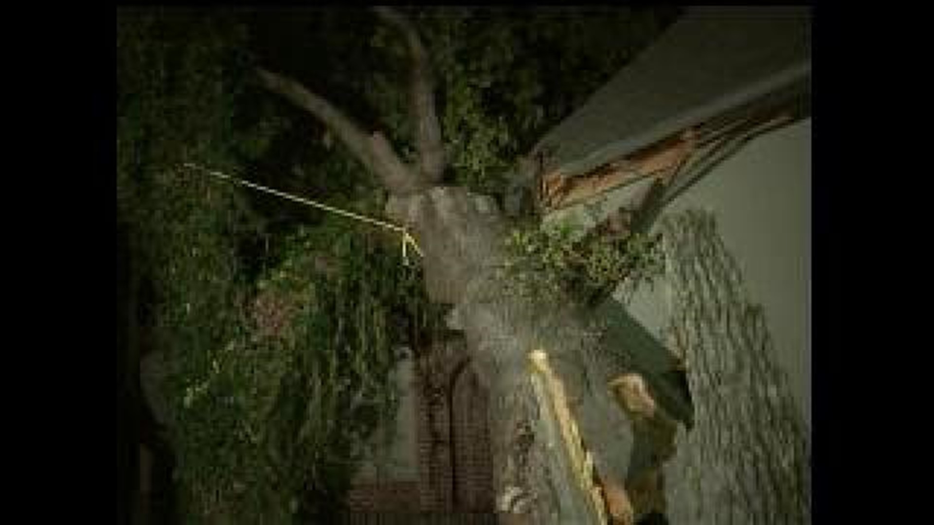 Crews Begin Cleanup Following Storm Damage