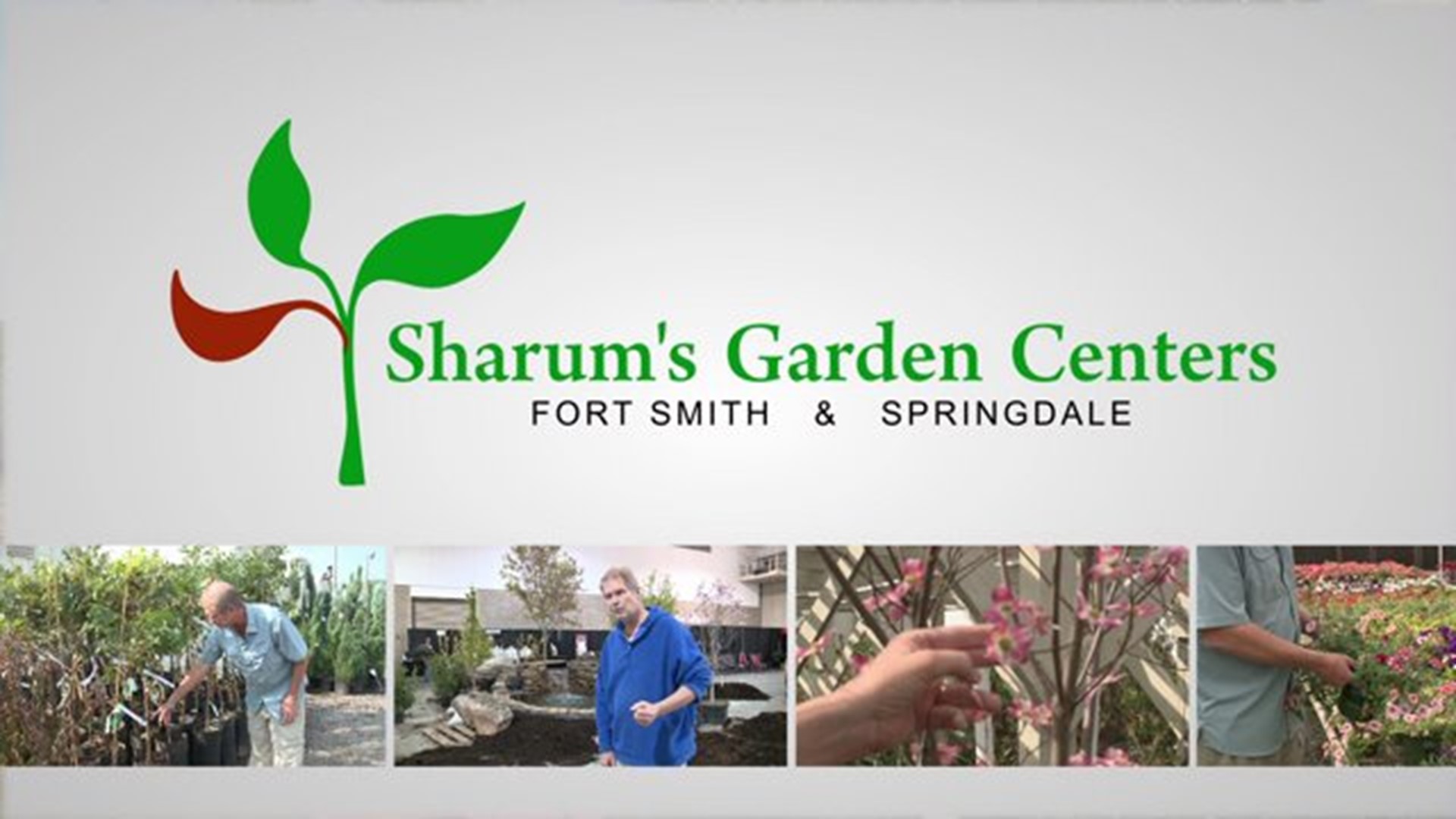 Sharum's Garden Center Tips: Trees To Grow This Fall