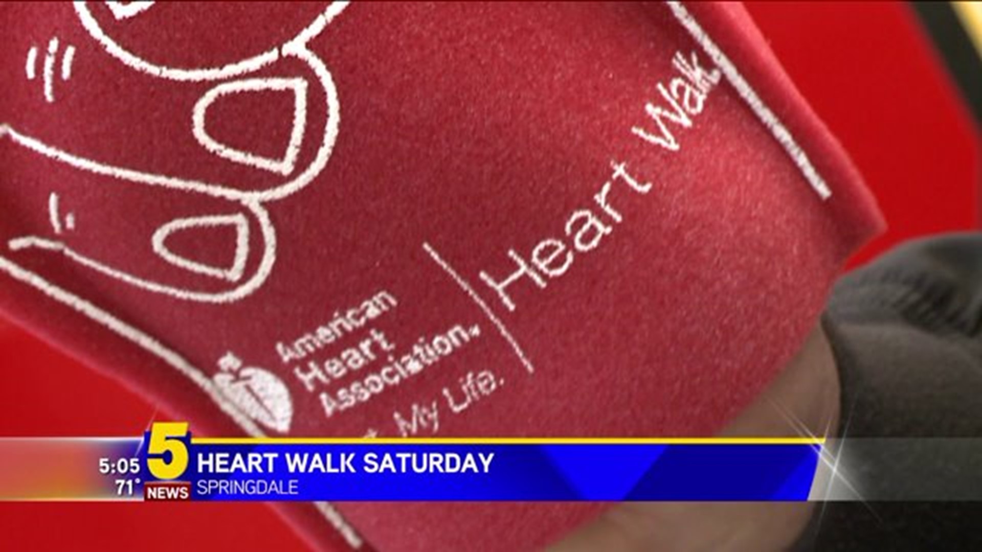 American Heart Association Heart Walk At Arvest Ballpark