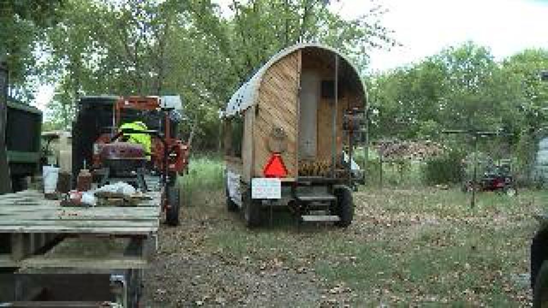 Covered Wagon Arrest