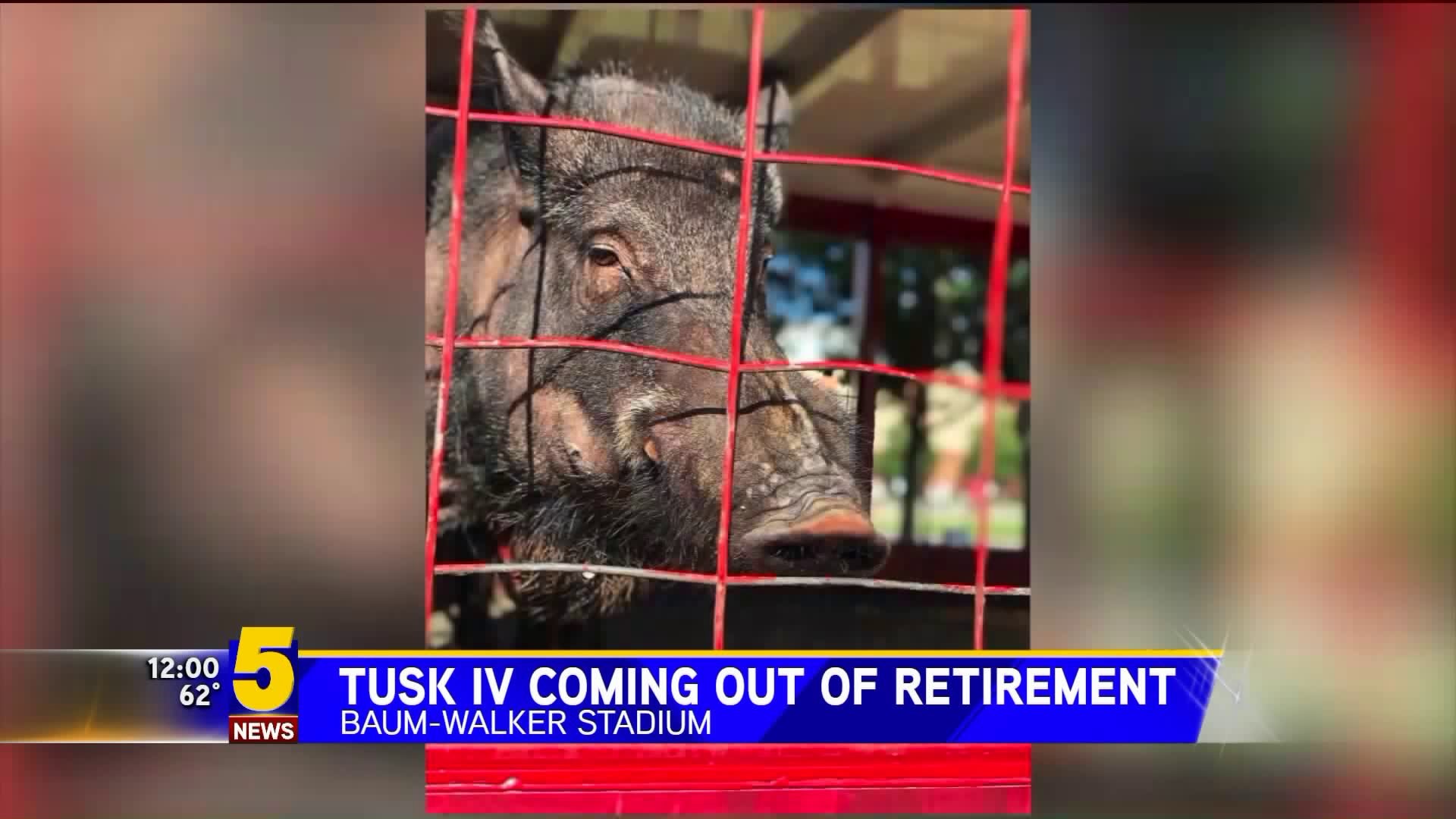 Tusk IV Coming Out Of Retirement