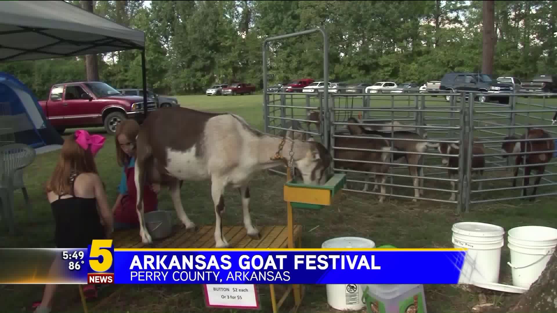 Goat Festival