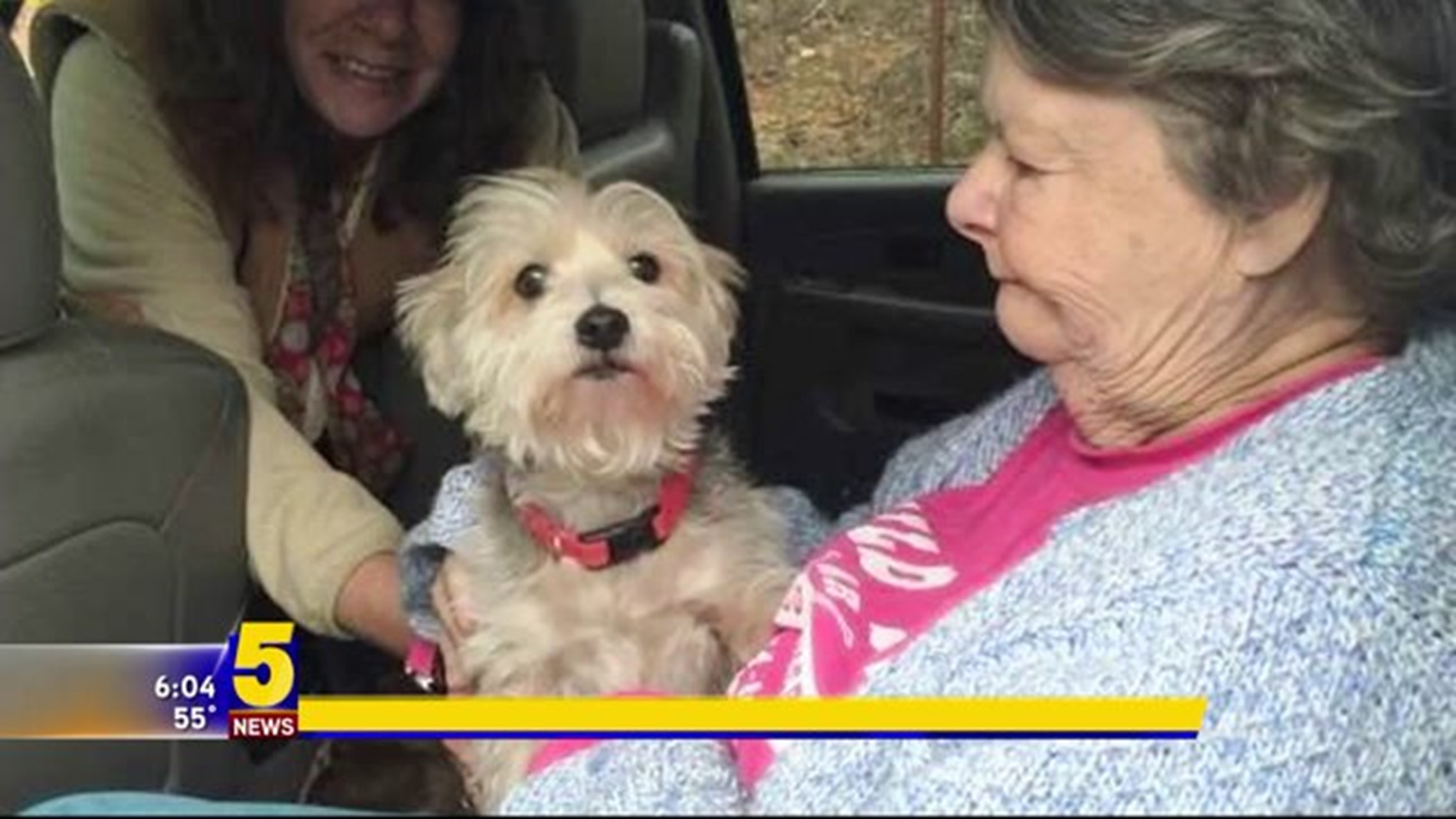 Rosie Saves Family From Fire