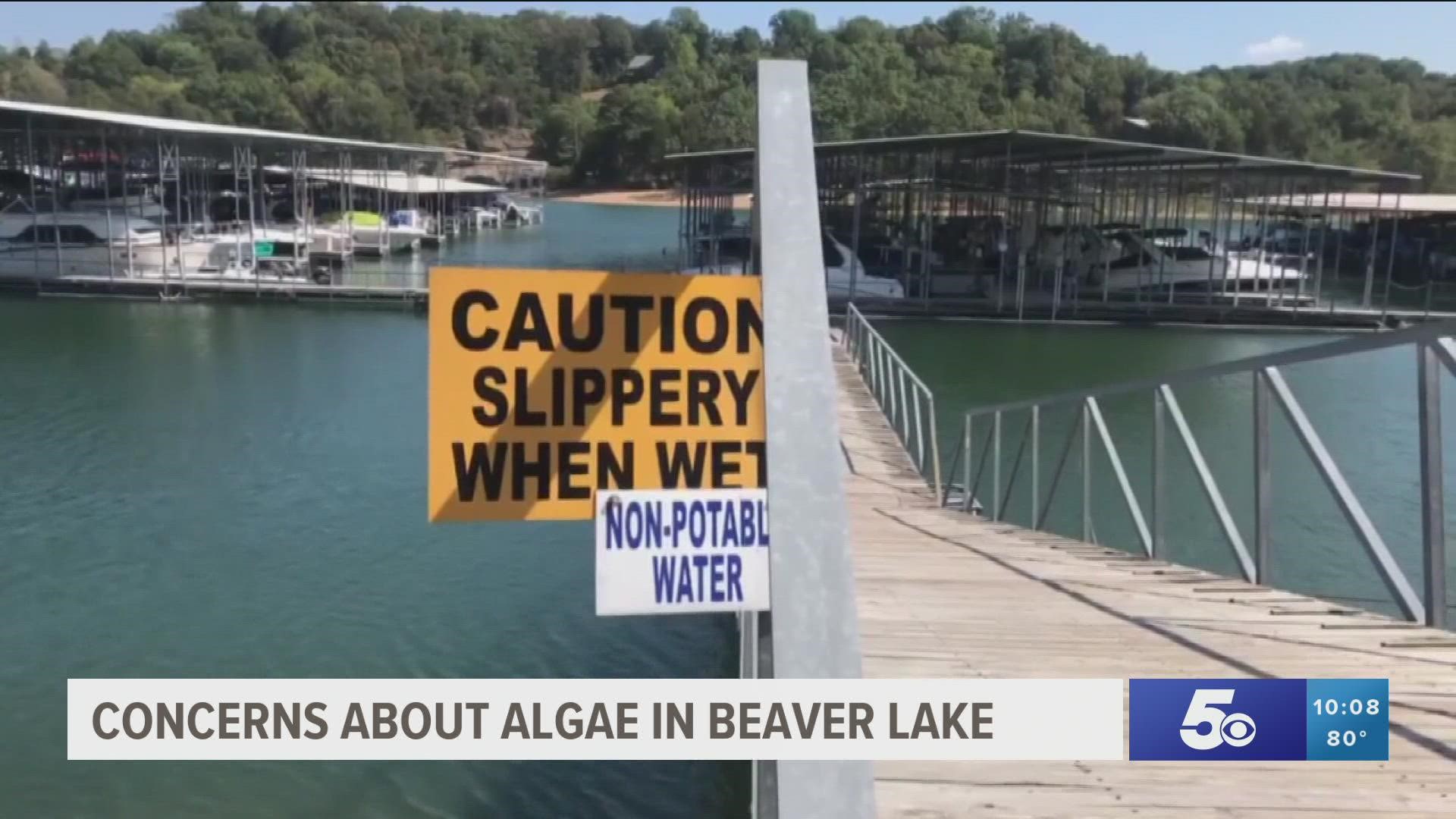 The growing amounts of algae in Beaver Lake may lead to some customers experiencing a different taste and smell of their drinking water.