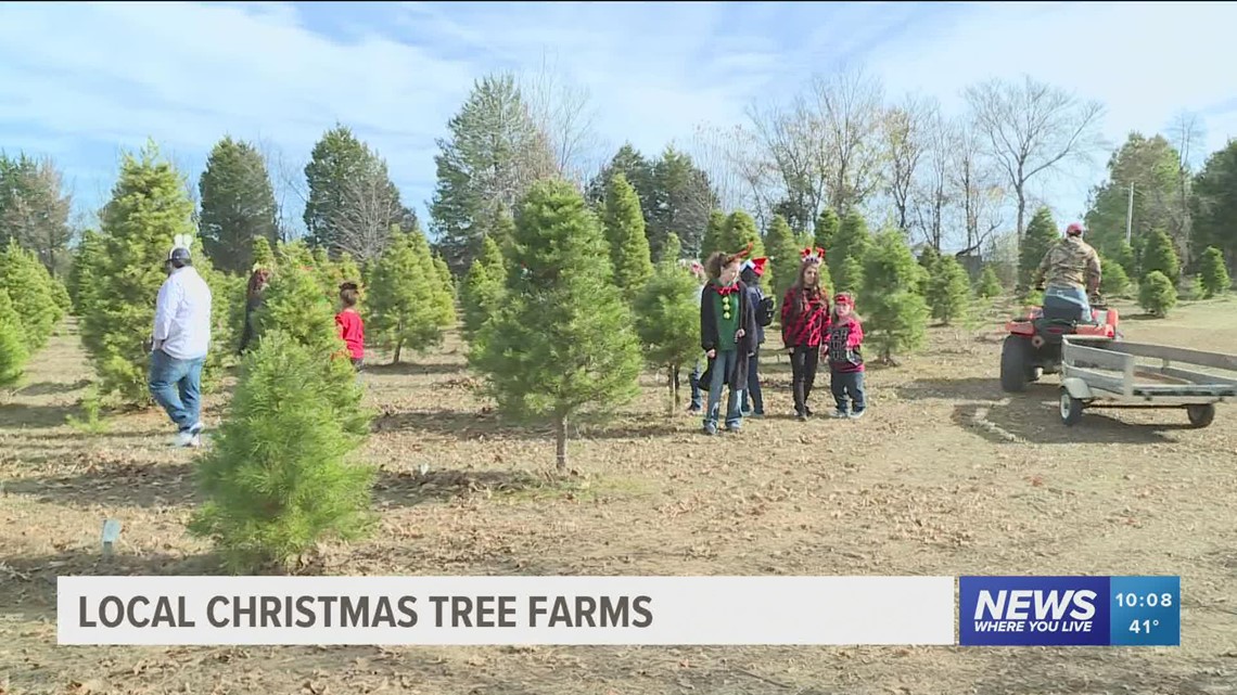 Local Christmas tree farms welcome customers ahead of holiday season