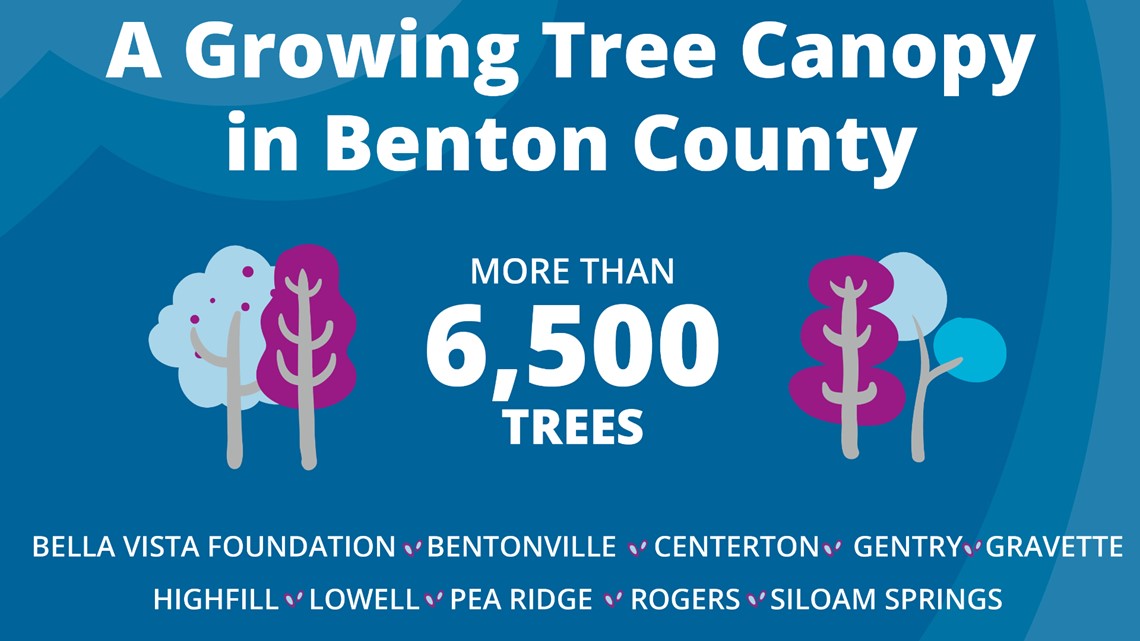 Walton Family Foundation bringing more than 6,500 trees in area - Vimarsana News