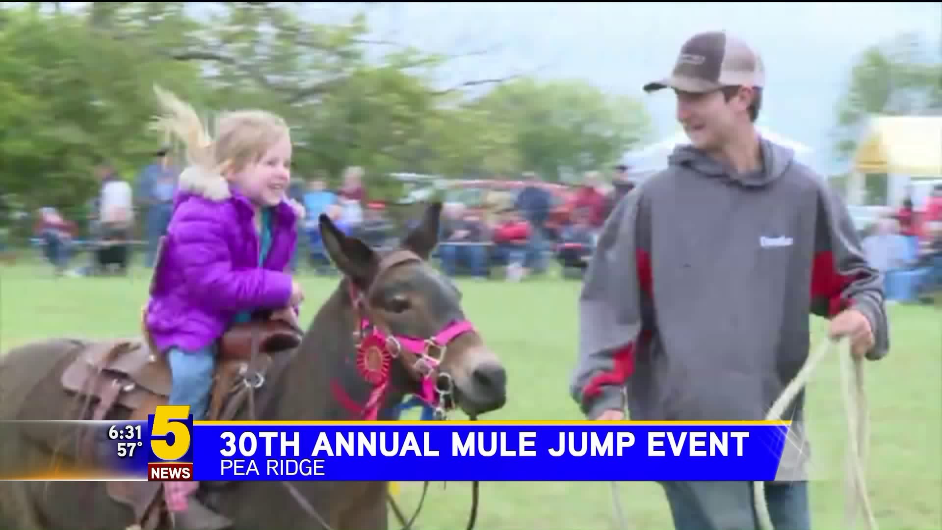 30th Annual Mule Jump Event