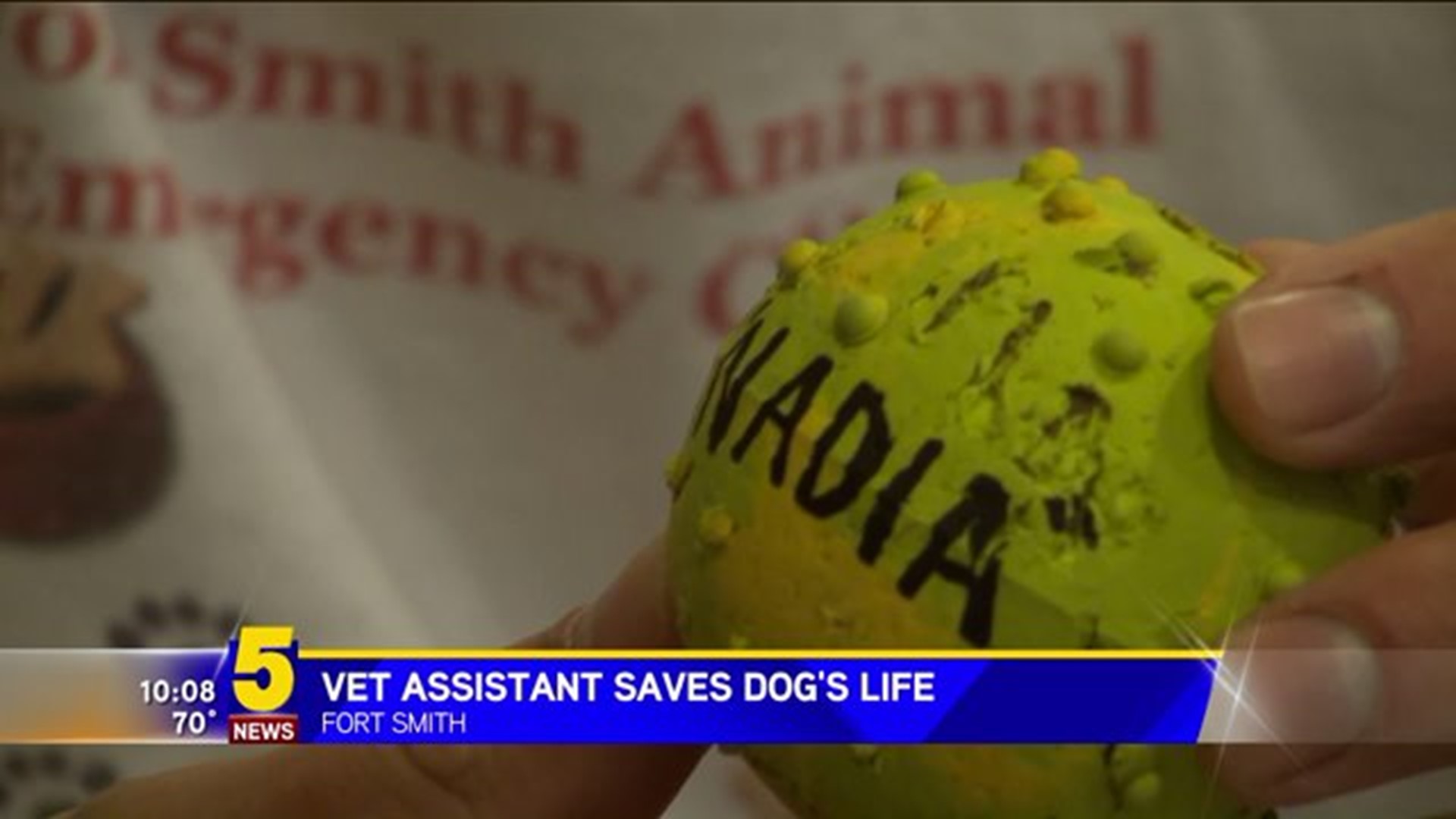 Vet Assistant Saves Choking Dog`s Life
