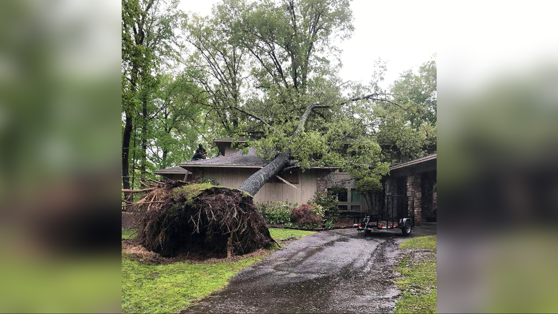 Severe Weather Causes Tree To Collapse On Home | 5newsonline.com